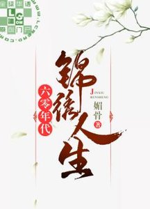 六零年代锦绣人生