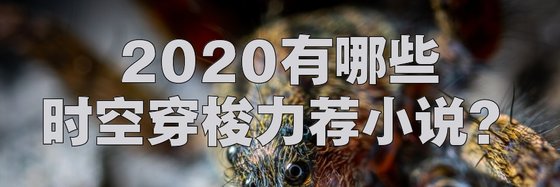 2020有哪些時空穿梭力薦小説？