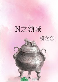 N之领域